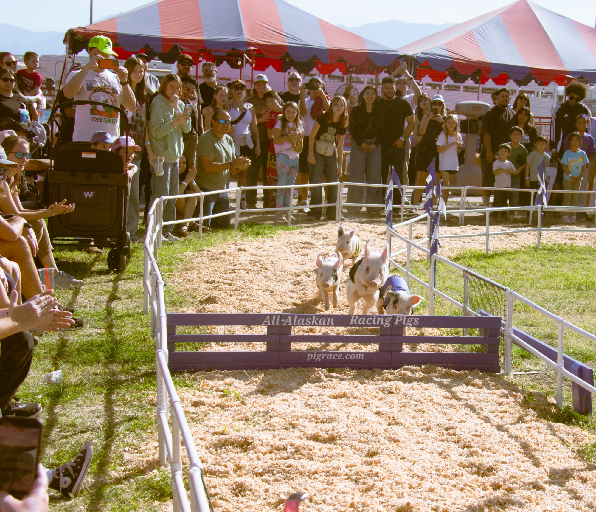 The Fair