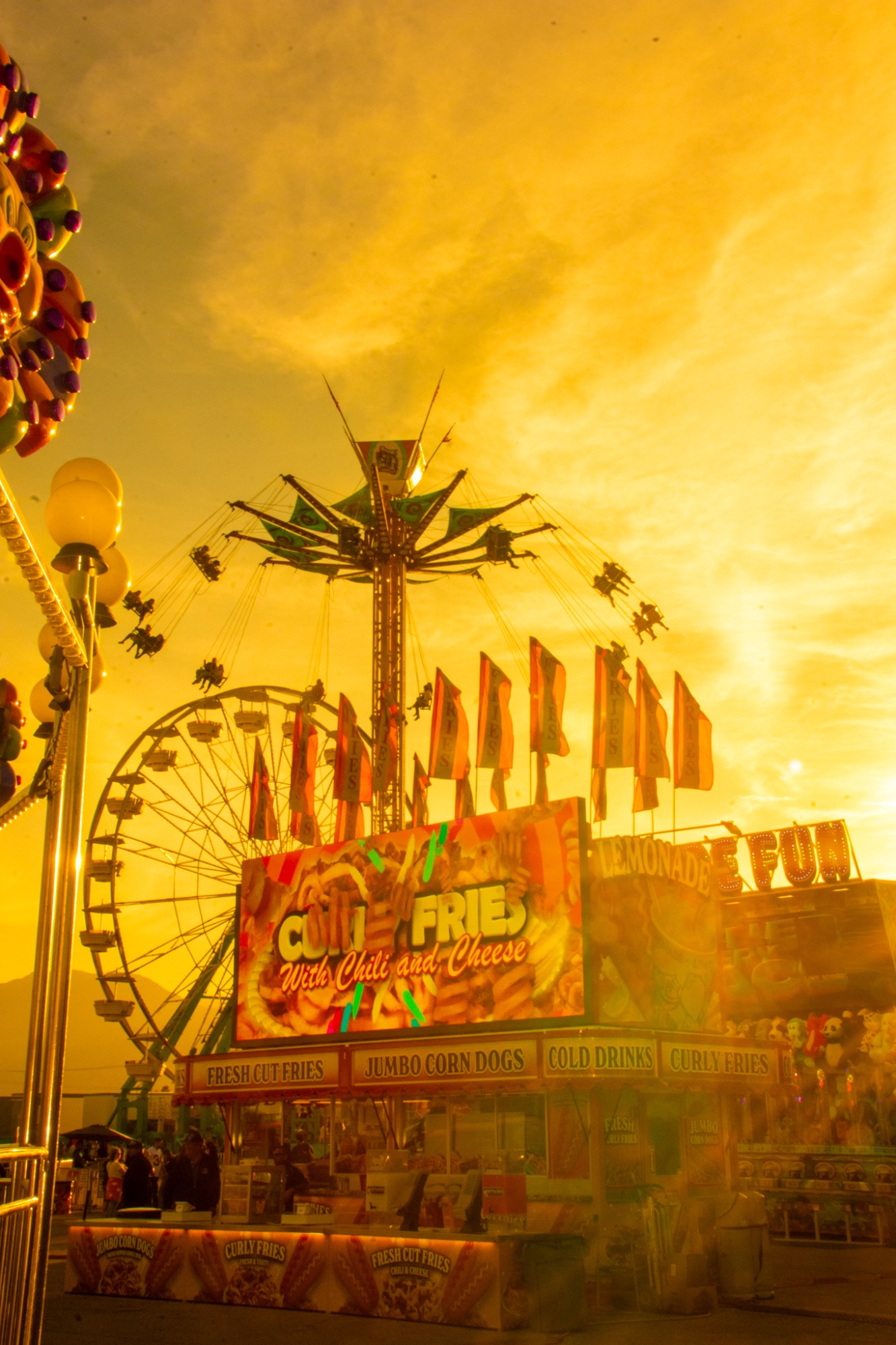 The Fair